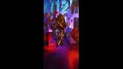 Lichtspektakel: Slideshow Atelier Goldräume